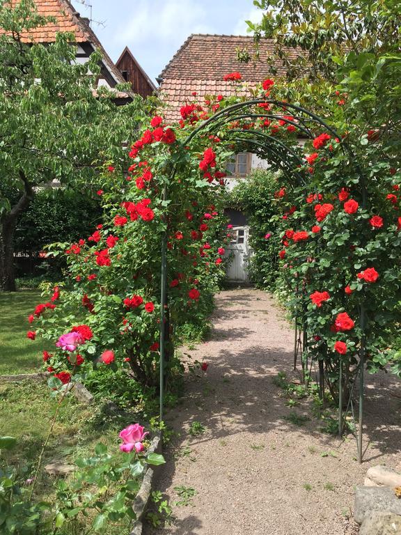 La Cour Zaepffel Leilighet Dambach Eksteriør bilde